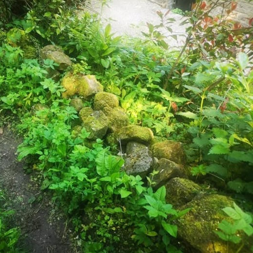 dry stone wall